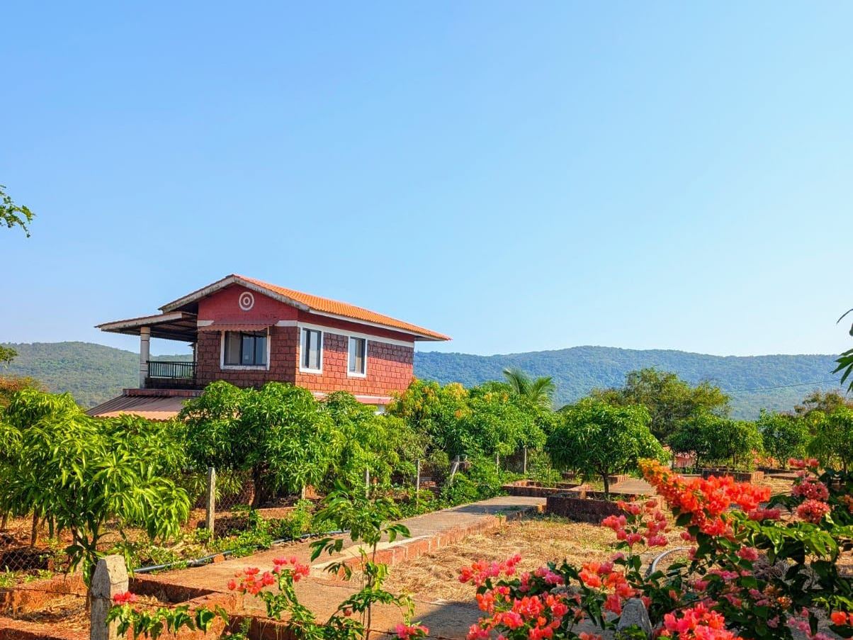 A bungalow with the Sahyadri hills behind it and mango trees in the plot