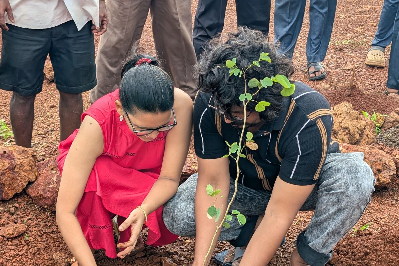 Owners planting a sapling in the red laterite soil at 1000 Trees, Dapoli