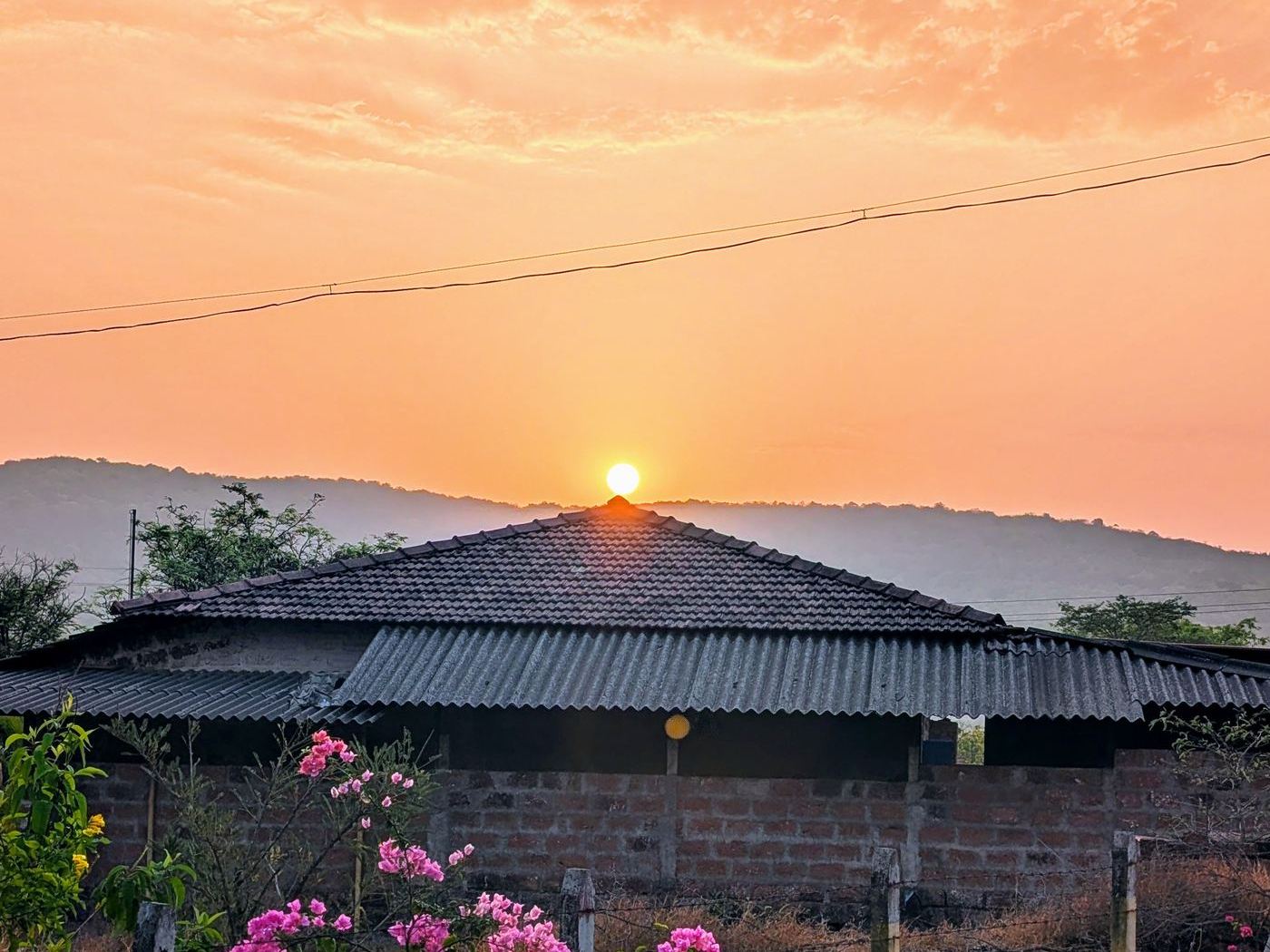 Sunset over a Konkan rooftop with bougainvillea near Dapoli